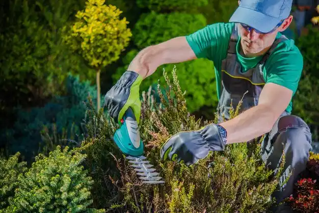 landscaping services Mulberry